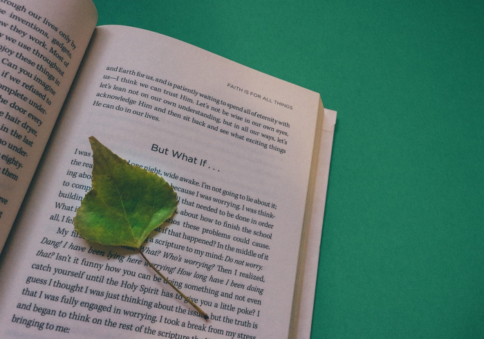 分享学习经验“新琉璃房卡购买充值交易平台”详细房卡教程-哔哩哔哩. 分享学习经验“新琉璃房卡购买充值交易平台”详细房卡教程-哔哩哔哩.