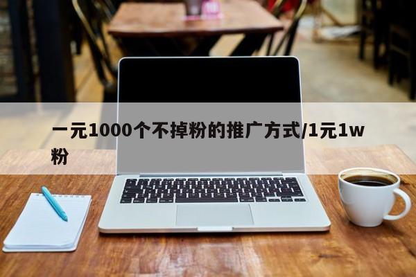 一元1000个不掉粉的推广方式/1元1w粉